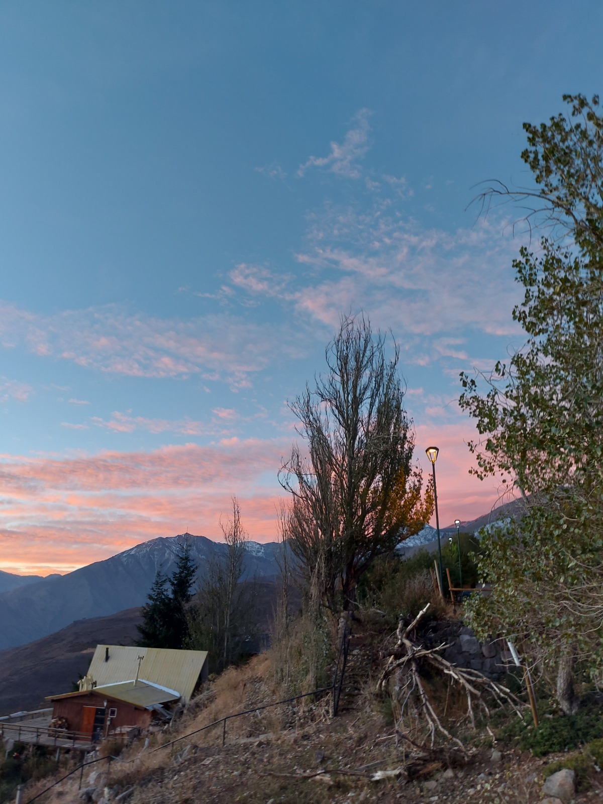 WhatsApp Image 2026-02-22 at 16.51.05